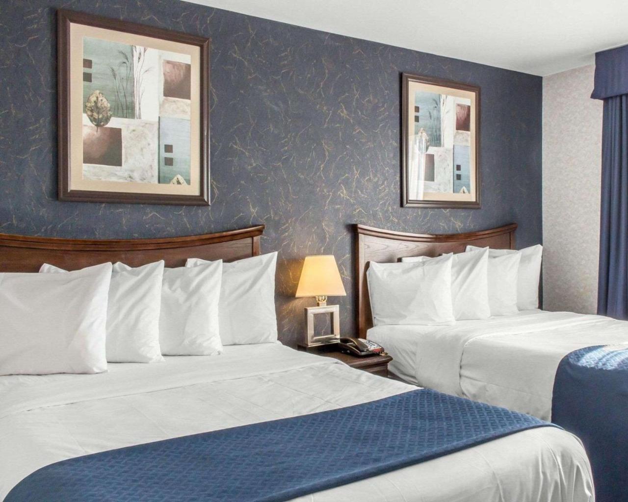 Paramount Inn フローラル・パーク エクステリア 写真